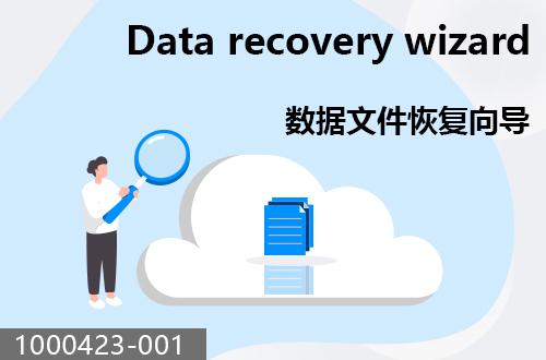 宏宇數(shù)據(jù)恢復向?qū)?                                  1000423-001